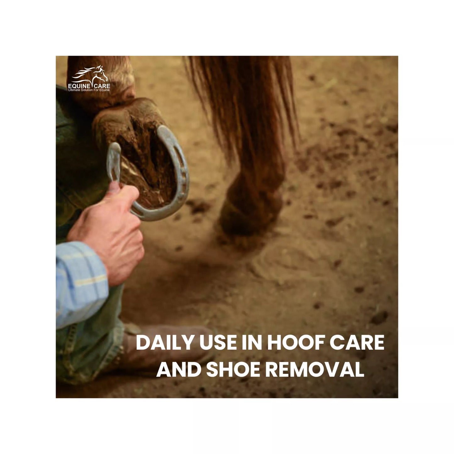 Professional farrier using Equine Care 14 inch pliers for hoof maintenance and trimming