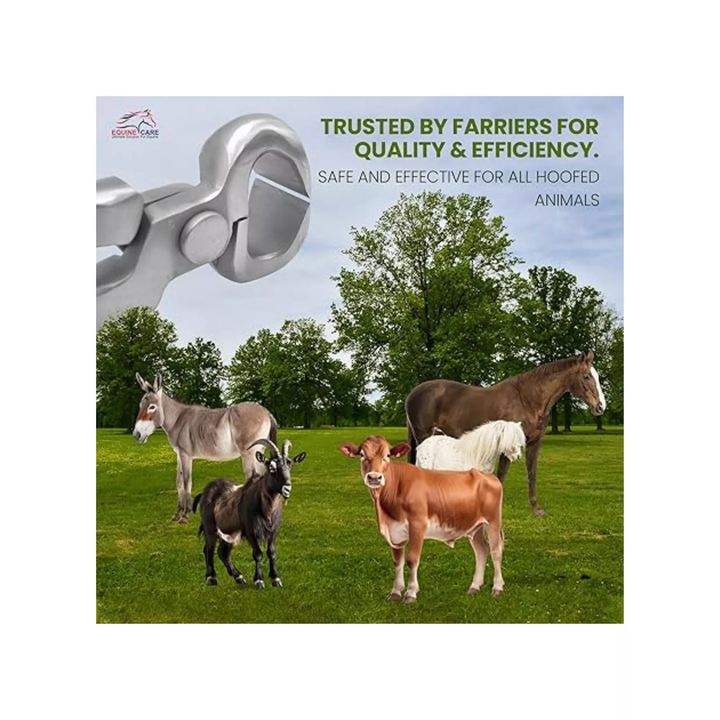 Farrier-Trusted Spring Loaded Hoof Nippers for All Hoofed Animals farrier-trusted tool suitable for safe and efficient hoof trimming of horses, donkeys, cows, goats, and pigs