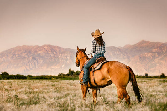 Best Joint Health Gels for Horses: Hoof Impact Relief & Mobility Support