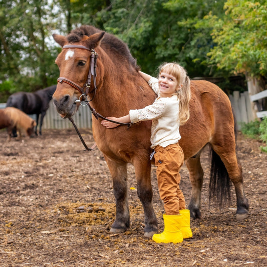 Farrier Tools for Minor Punctures & Coronary Injuries