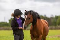 Protecting Thin Soles in Horses: Trimming and Support Protocols