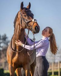 Common Horse Hoof Problems and How to Prevent Them