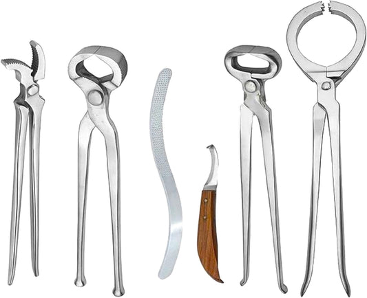 Pro Hoof Tools Every Farrier Recommends for Healthy Hooves