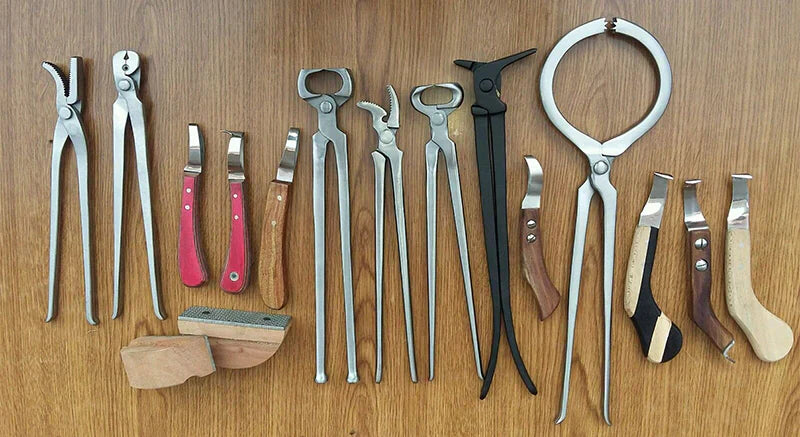 Farrier’s Daily Routine: Essential Tools, Professional Skills & Expert Insights