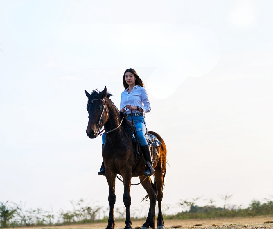 Fixing Underslung Heels: A Farrier’s Guide to Proper Trim and Balance