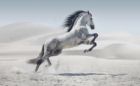 Stay Safe: Best Welding Gloves for Farriers & Heavy-Duty Equine Work