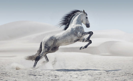 Stay Safe: Best Welding Gloves for Farriers & Heavy-Duty Equine Work