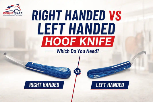 Right Handed vs Left Handed Hoof Knife - Which Do You Need
