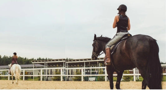 Stimulate Frog Health: Farrier Tools for Natural Hoof Contact