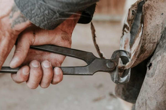 How Hoof Nippers Help Farriers: Complete Guide to Hoof Trimming Tools