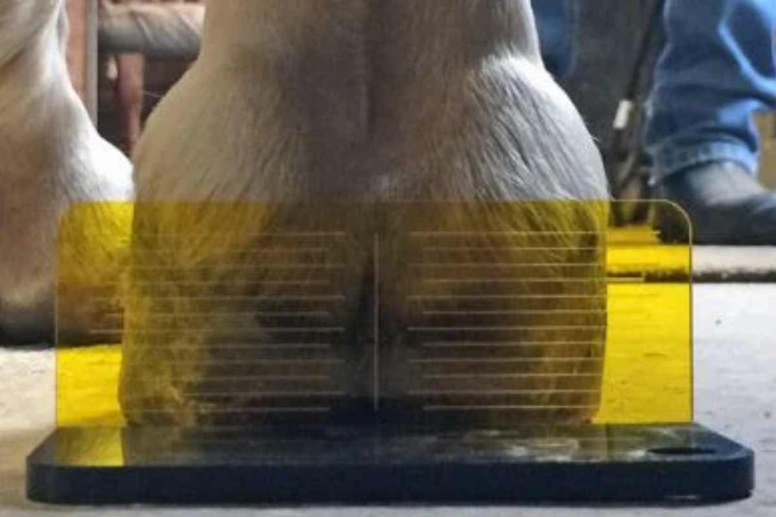 Tools That Solve Sheared Heels: Balance with Confidence