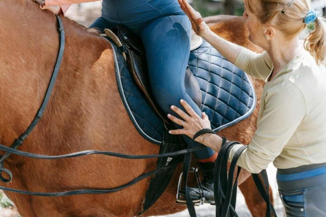 Perfect Saddle Pads for Happy, Healthy Horses: Professional Guide
