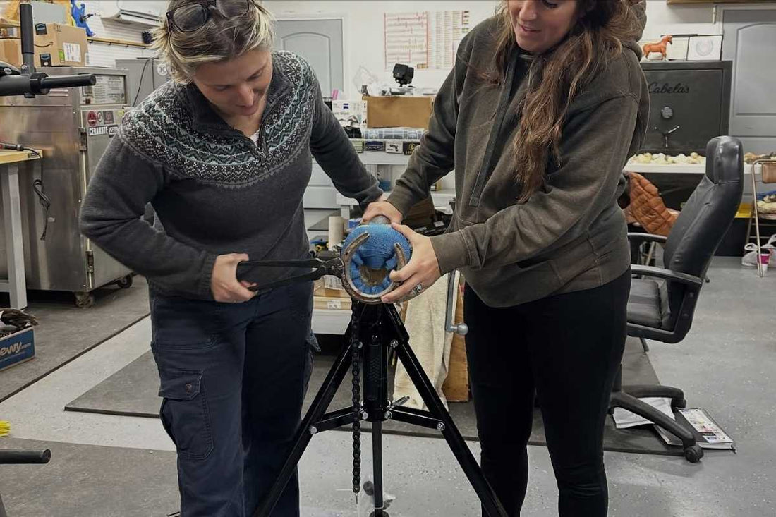 PHCP Advanced Anatomy and Radiographs – Tennessee (16 CE)