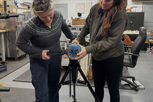 PHCP Advanced Anatomy and Radiographs – Tennessee (16 CE)