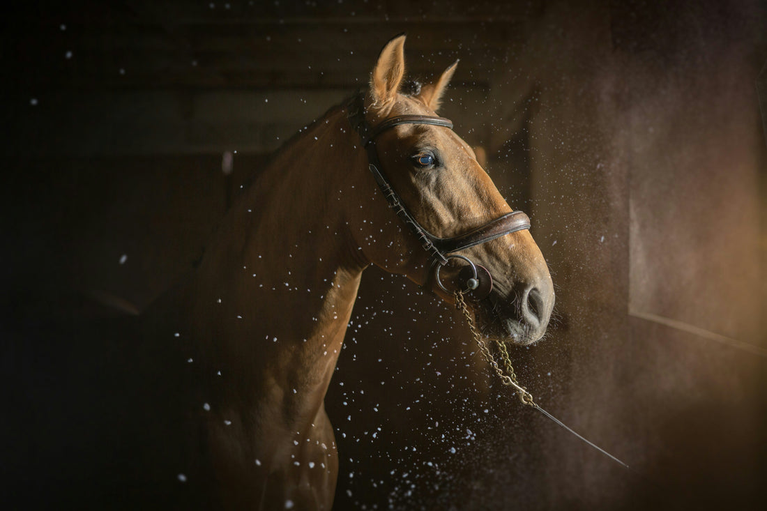 Eliminate Hoof Wall Flare with Precision Rasping Tools: Science, Technique, and Real-World Insights
