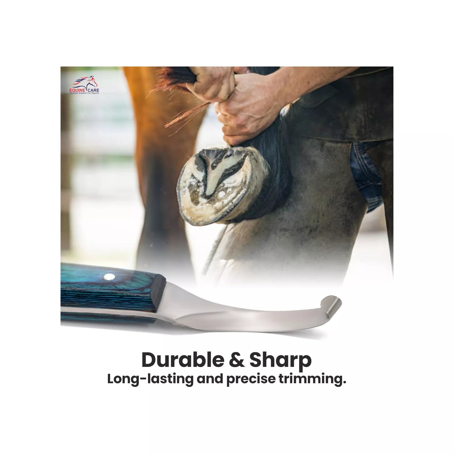 Close up of EquineCares blue curved blade hoof knife showing sharp stainless steel cutting edge