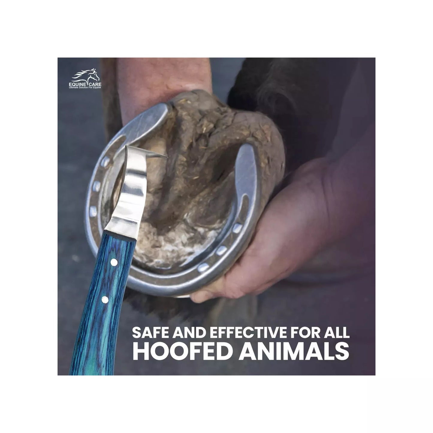 EquineCares blue loop hoof pick knife shown in use during hoof cleaning and trimming for hoofed animals