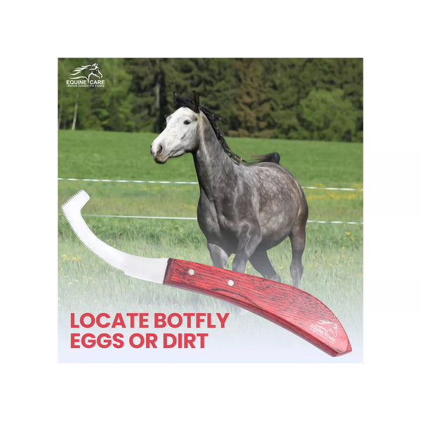 EquineCares bot egg knife used to locate and remove bot fly eggs or dirt from a horse during grooming