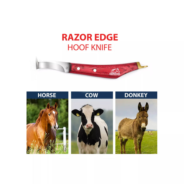 EquineCares hoof pick farrier knife tool trusted by farriers veterinarians and livestock caretakers for daily hoof care fr horse cow and donkey