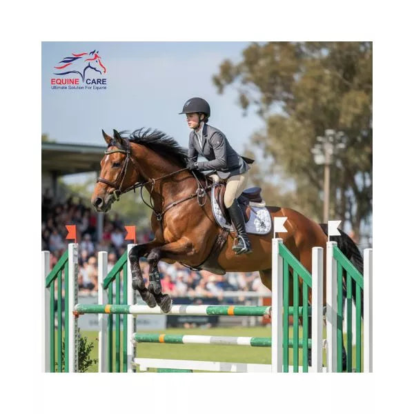 Brida de cuero inglesa Equine Care (tamaño completo, frontalera de cristal y riendas)