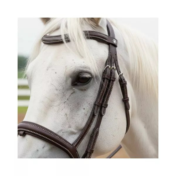 Close-up of white horse wearing Equine Care English leather bridle with padded browband and cavesson noseband