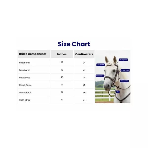 Equine Care English leather horse bridle size chart showing noseband, browband, headpiece and cheek piece measurements