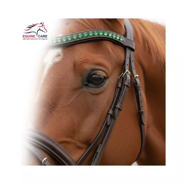 Brida de cuero inglesa Equine Care (tamaño completo, frontalera de cristal y riendas)