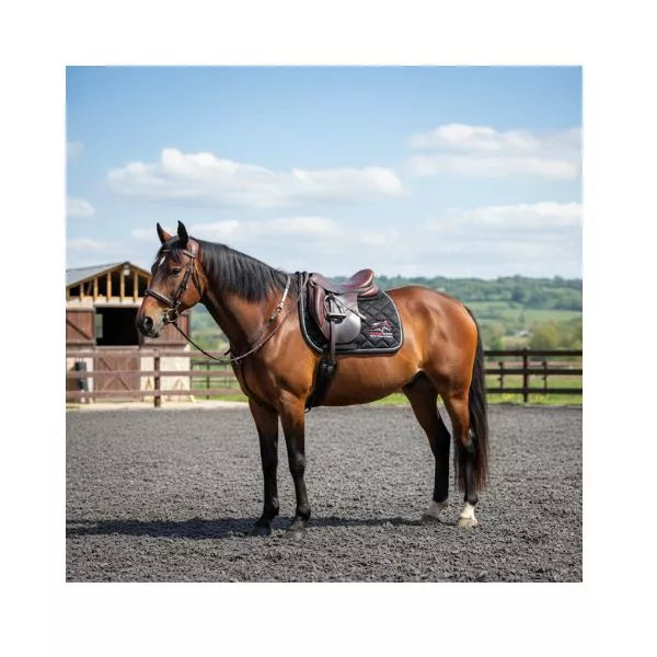 Horse standing in arena wearing Equine Care black quilted English saddle pad with shock-absorbing design