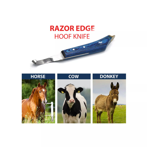 Equine Care razor edge hoof knife shown for use on horse, cow, and donkey hooves, featuring a sharp J2 steel blade for precise trimming of all hoofed animals