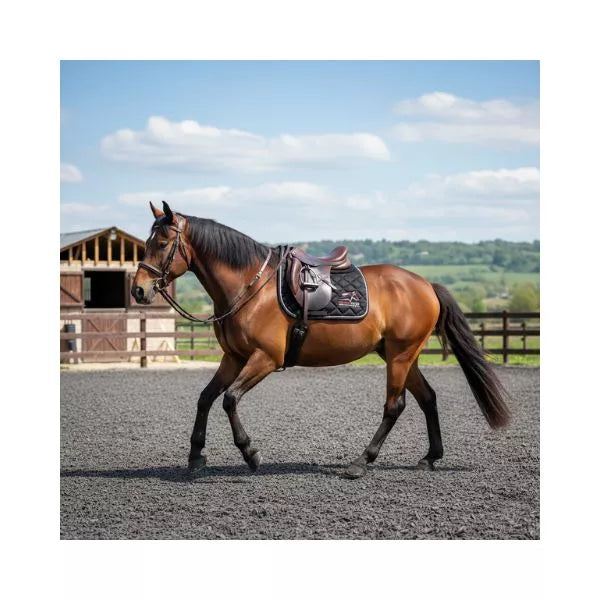 Horse moving in arena with Equine Care quilted English saddle pad designed for shock absorption and stability