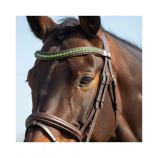 Brida de cuero inglesa Equine Care (tamaño completo, frontalera de cristal y riendas)