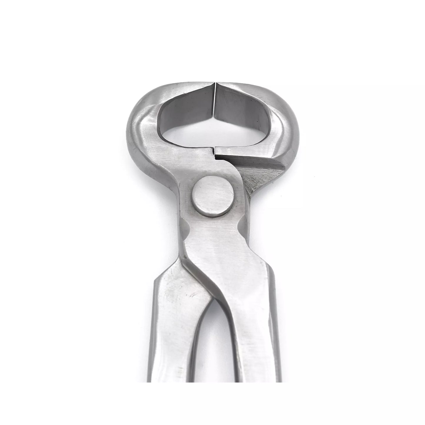 Front view of spring-free hoof nippers showing sharp, aligned cutting jaws designed for precise and controlled horse hoof trimming