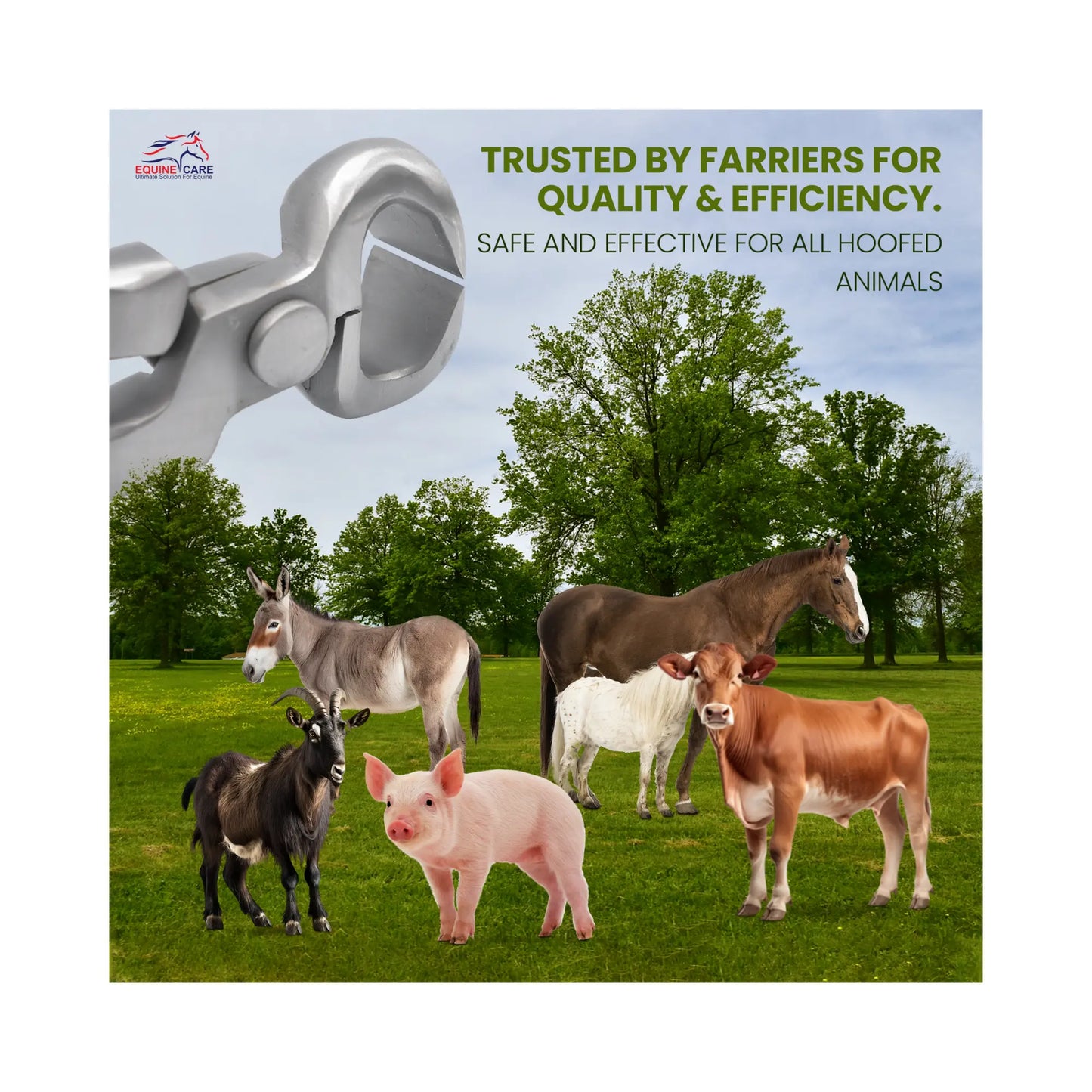 Spring Free Hoof Nippers by Equine Care – 10″ to 15″ showing spring-free hoof nippers trusted by farriers, suitable for safe and effective trimming of hooves for horses, donkeys, cows, pigs, and goats