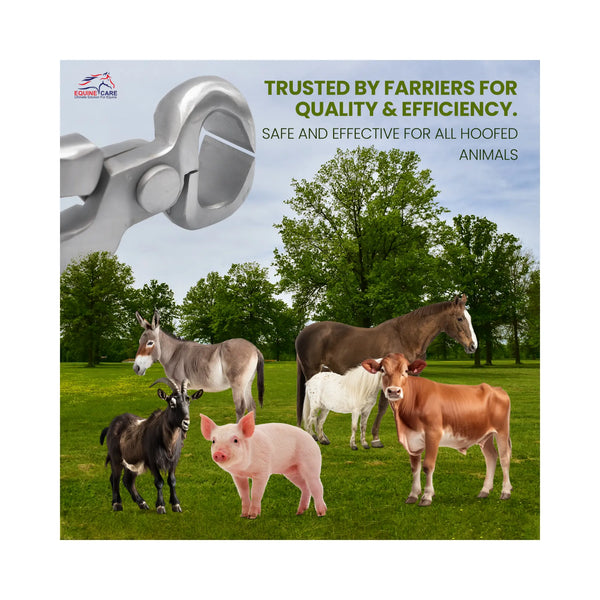 Spring Free Hoof Nippers by Equine Care – 10″ to 15″ showing spring-free hoof nippers trusted by farriers, suitable for safe and effective trimming of hooves for horses, donkeys, cows, pigs, and goats