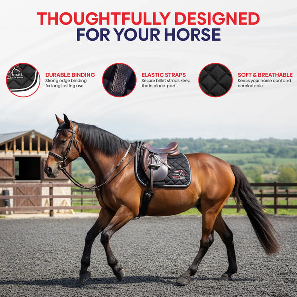 All Purpose Quilted English Saddle Pads for Horses