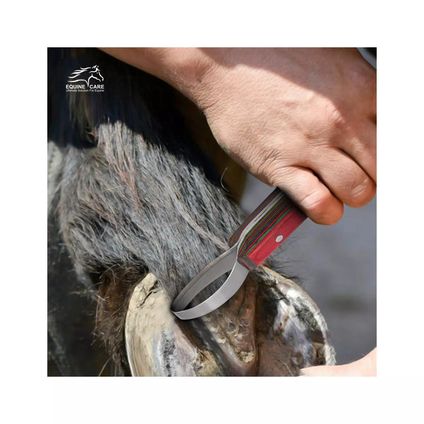 Double edged steel loop hoof knife size diagram showing 23 centimeter length and 4 centimeter handle width